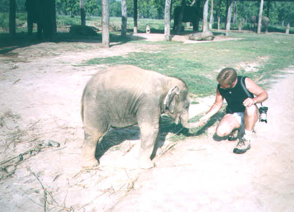 56b.jpg (104253 bytes)