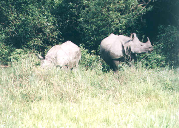 57b.jpg (129891 bytes)