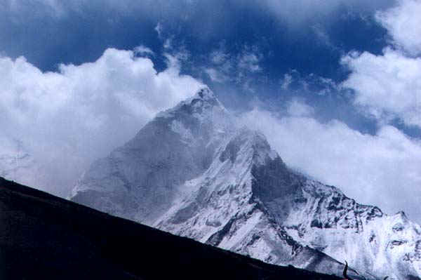 5b.jpg (38760 bytes)