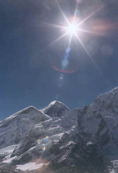 8b.jpg (29054 bytes)