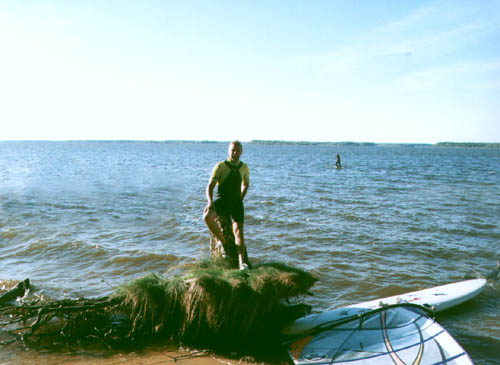 17b.jpg (36512 bytes)