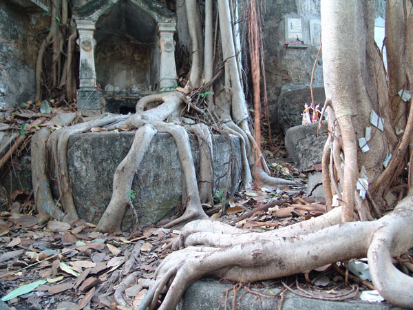 1b.jpg (111613 bytes)