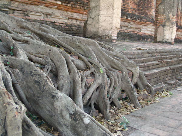 1b.jpg (111613 bytes)