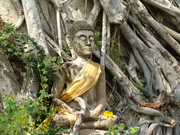 1b.jpg (111613 bytes)