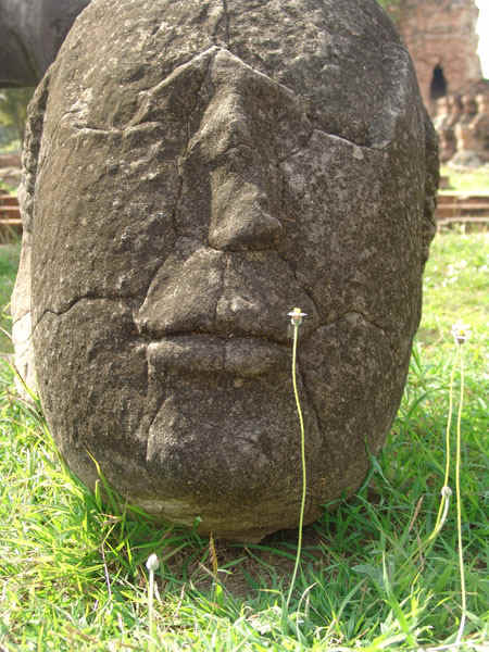 1b.jpg (111613 bytes)