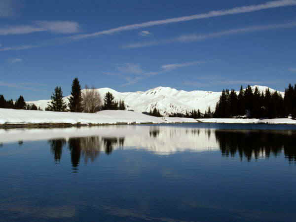 1b.jpg (111613 bytes)