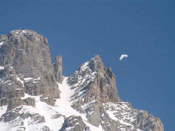 1b.jpg (111613 bytes)