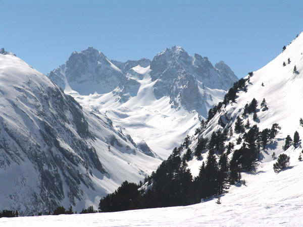 1b.jpg (111613 bytes)