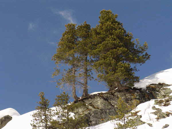 1b.jpg (111613 bytes)