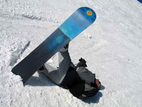 1b.jpg (111613 bytes)