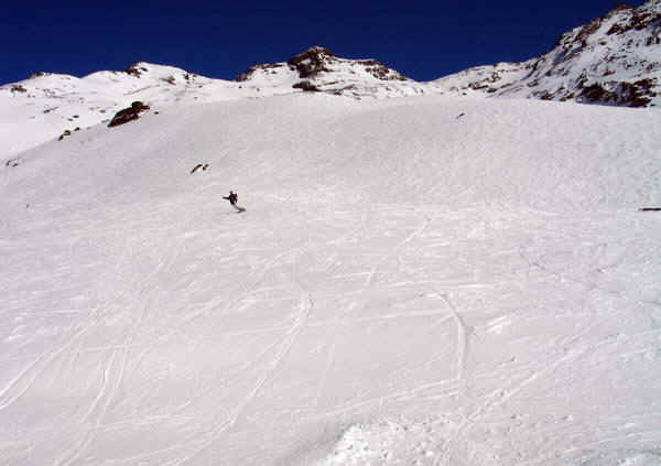 1b.jpg (111613 bytes)