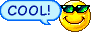cool3.gif (2225 bytes)